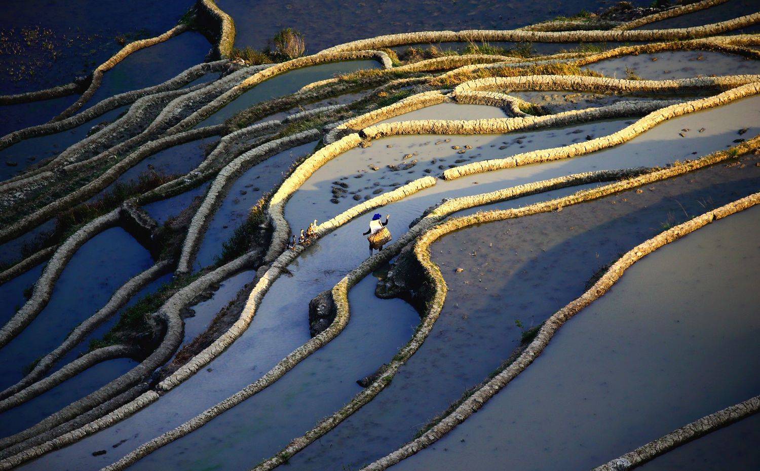 , Гудков Андрей