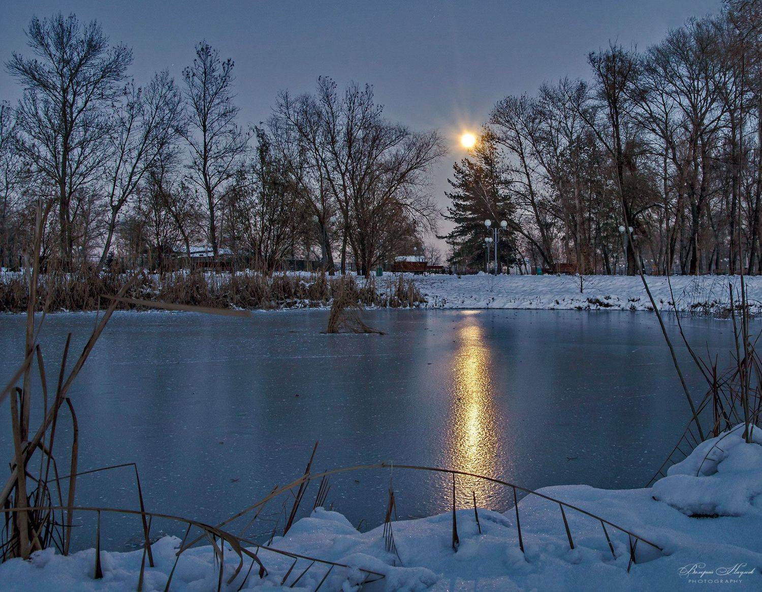 зима, январь, снег, лёд, луна, пруд, Валерий Наумов
