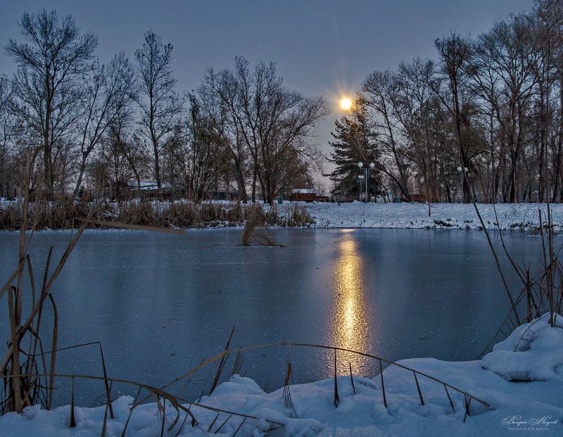 зима, январь, снег, лёд, луна, пруд Полнолуние на пруду фото превью