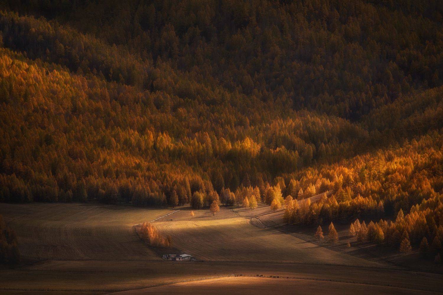 алтай, осень, Рудченко Ольга