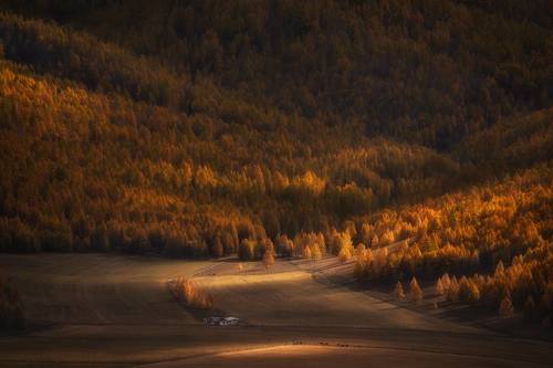 В плену у осени