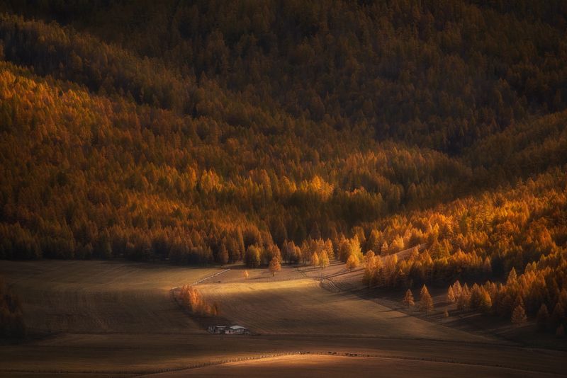 алтай, осень В плену у осени фото превью