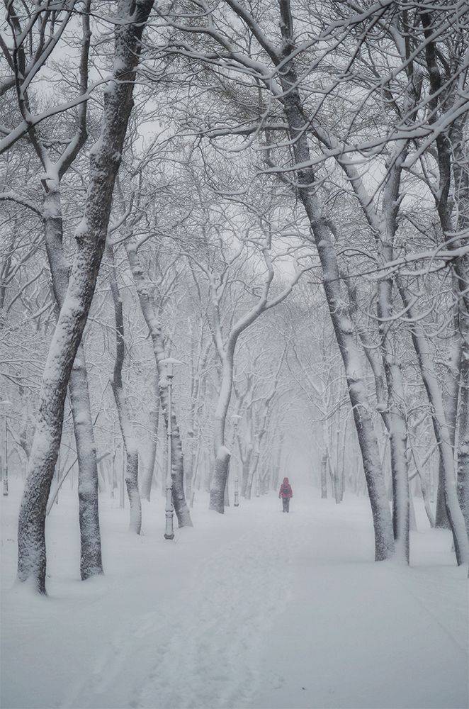 , Геннадий Чеботарев
