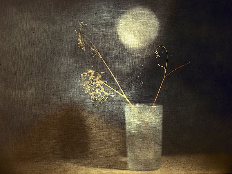 Тихая нежность фото превью