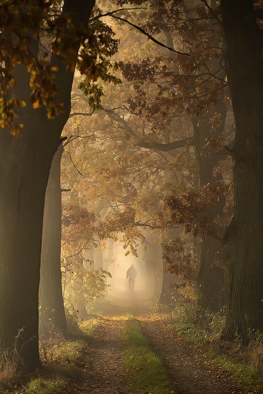 Autumn фото превью