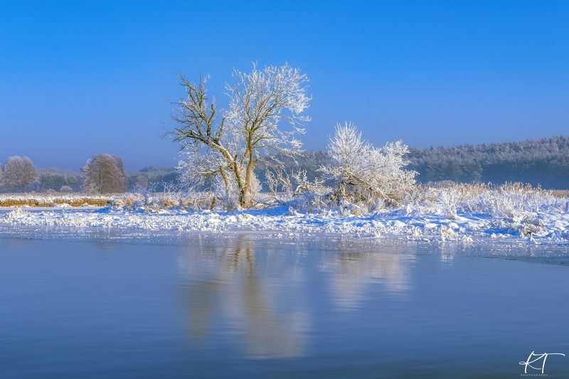 winter 2021  landscape  December 2021  river  Gwda  reflection in water  frost  snow  trees  light  forest Gwda River - Frost painted - (2) фото превью
