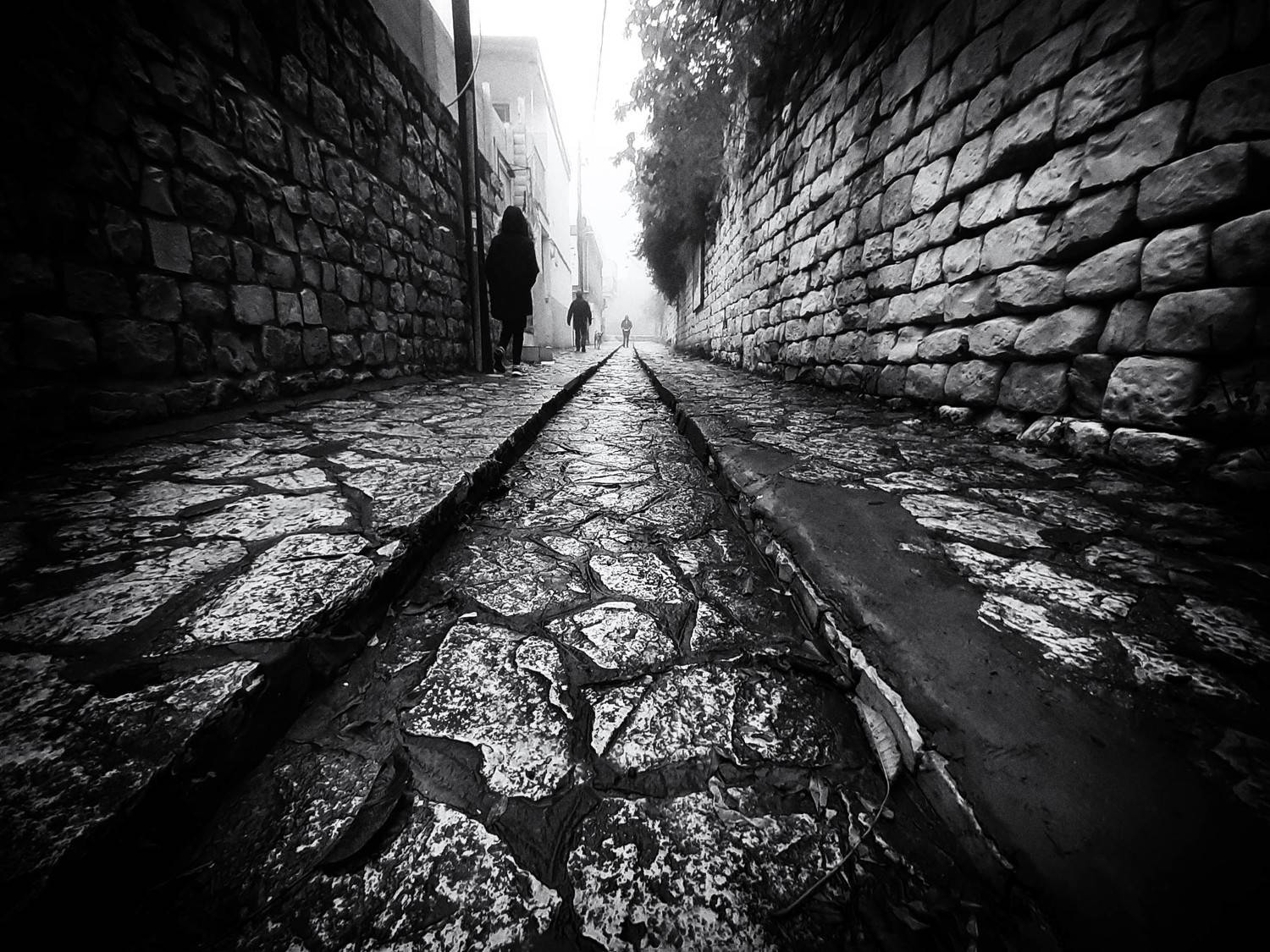 street,city,rainy, Yuri Shepelev