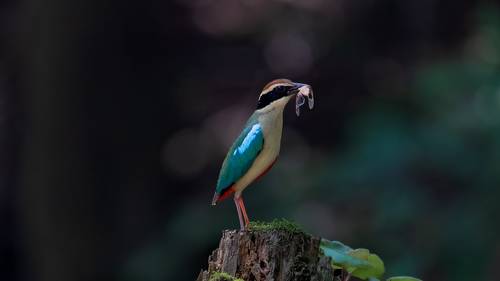 экологическая фотография Китая