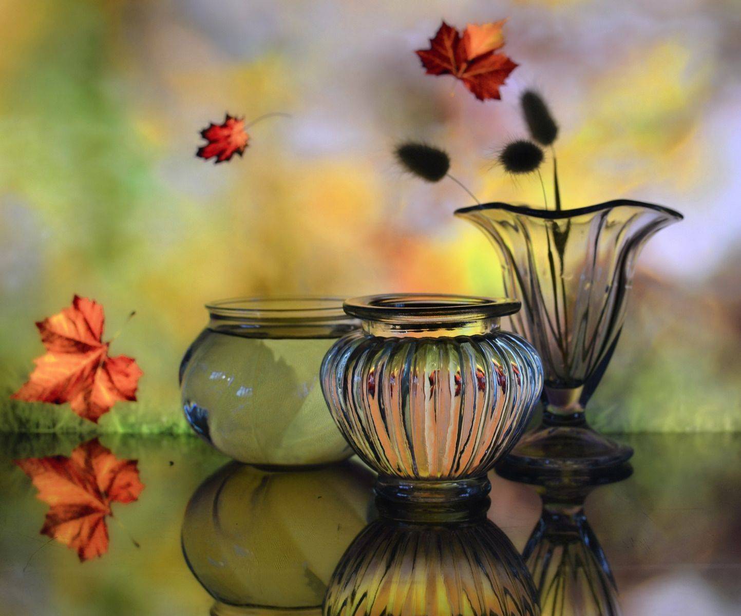 натюрморт,композиция,свет,стекло,ваза, Инаида