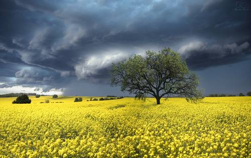 Before the storm...