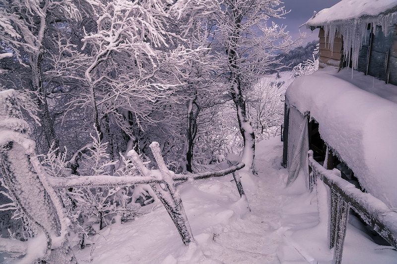 Ледяное безмолвие фото превью