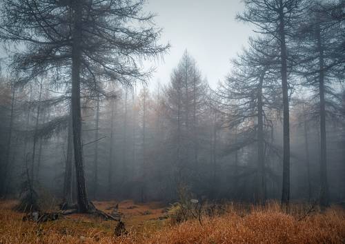 Туманный Ноябрь