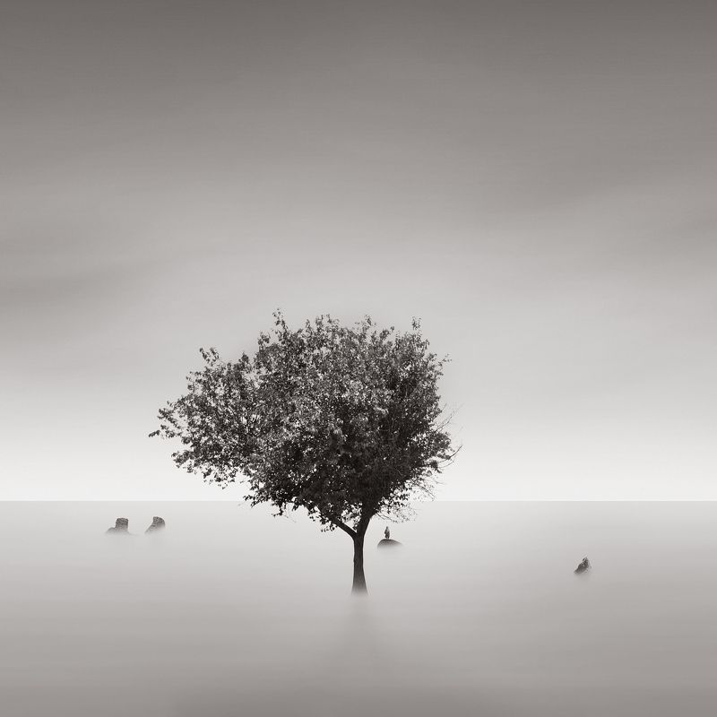 Nowhere фото превью