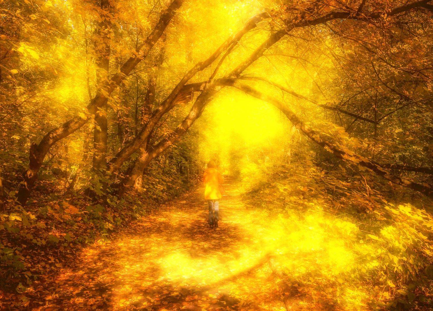 октябрь, парк, аллея, Андрей Колесов