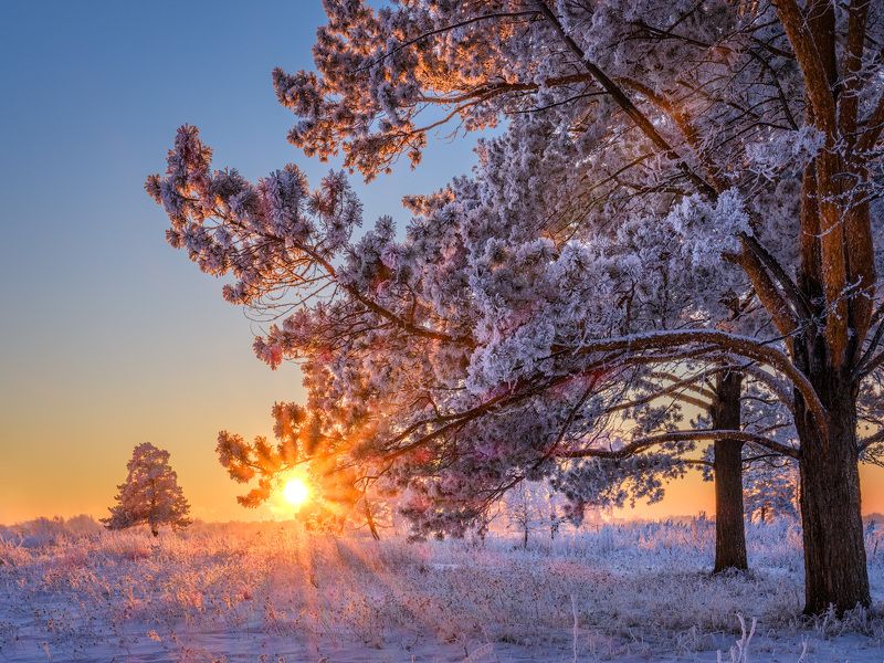 зима, зимний пейзаж, пейзаж ,снег, закат, сибирь, мороз, winter, fujifilm В окончании дня... фото превью