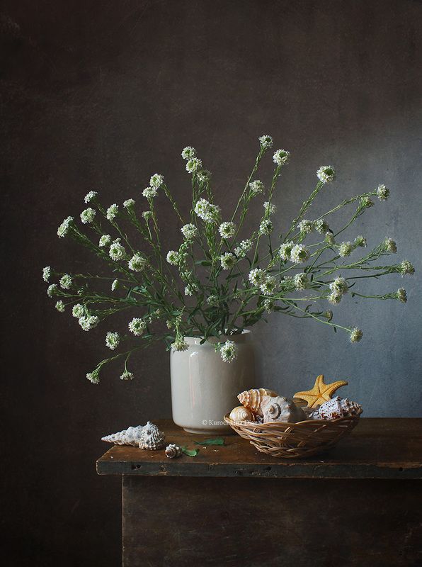 цветы и ракушки фото превью