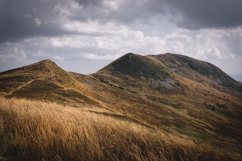 tarnica, bieszczady, połonina, wetlińska, pasture, wetlina, smerek, cisna, ustrzyki, wołosate, caryńska, poland, fiends, mountains, podkarpacie, podkarpackie, tourism, trekking, hiking, green, grass, autumn, brown, gold, sky, blue, cottage, pooh, trail, p Tarnica фото превью