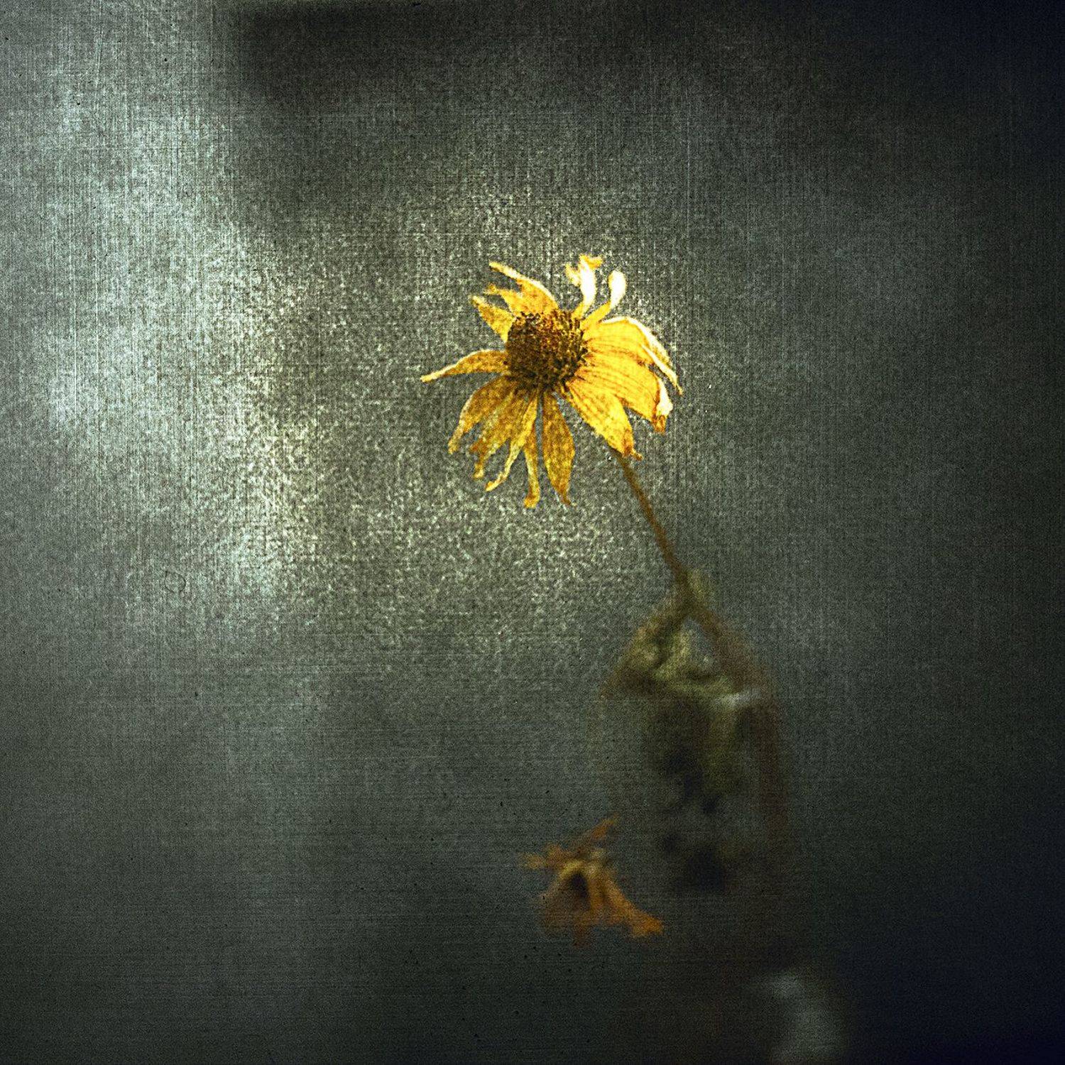 , Татьяна Аверина