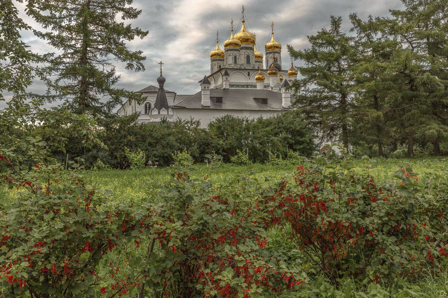 Волоколамский район, Гусева Елена