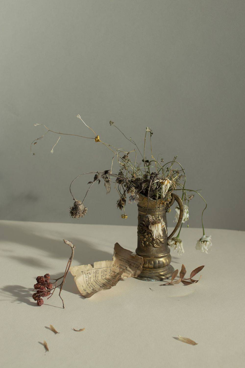 ***, Коршак Елена