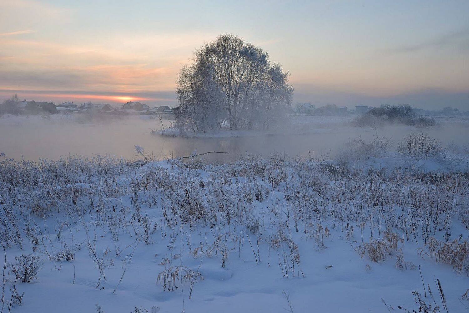 , Максим Ватрушкин