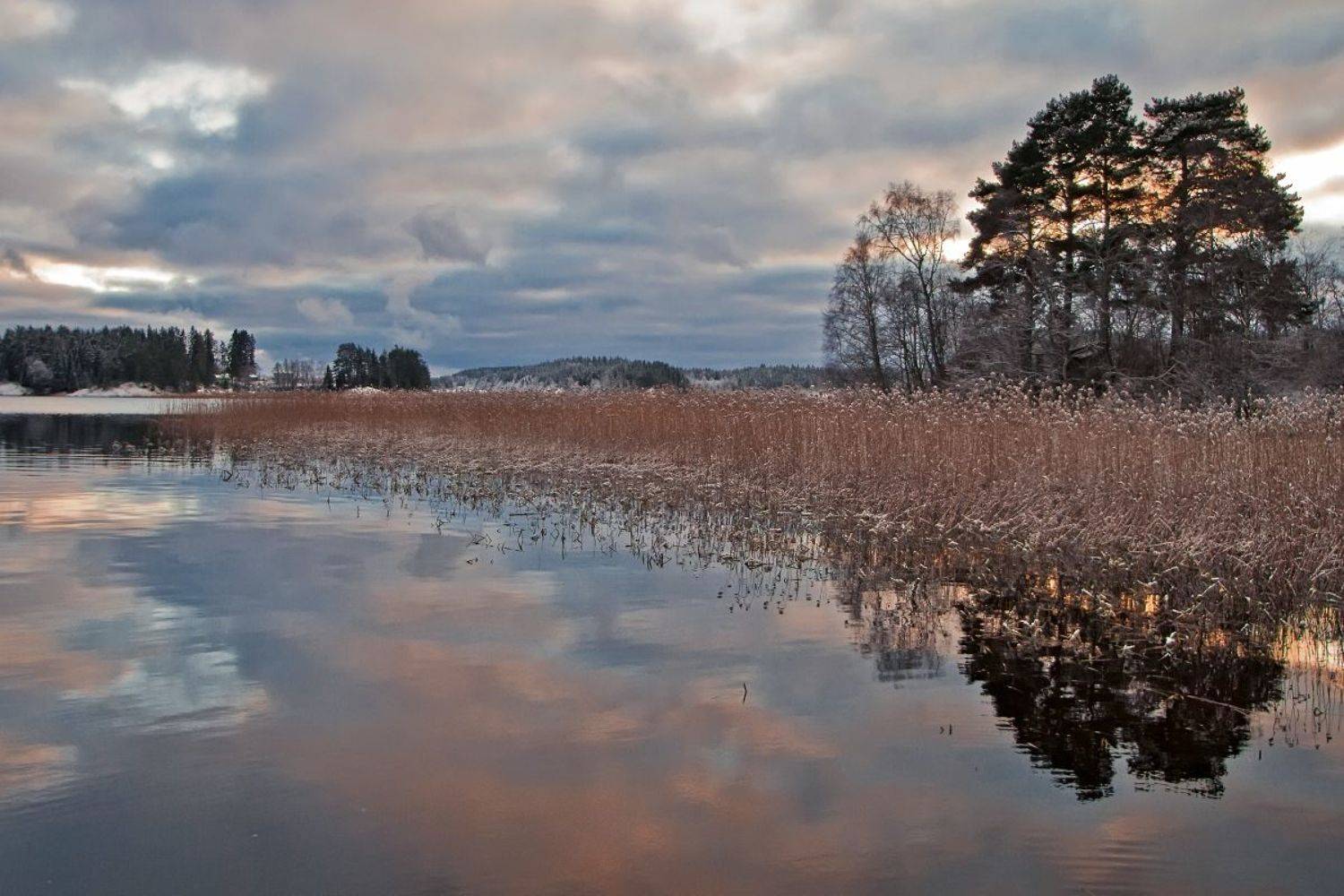 , Орлов Олег