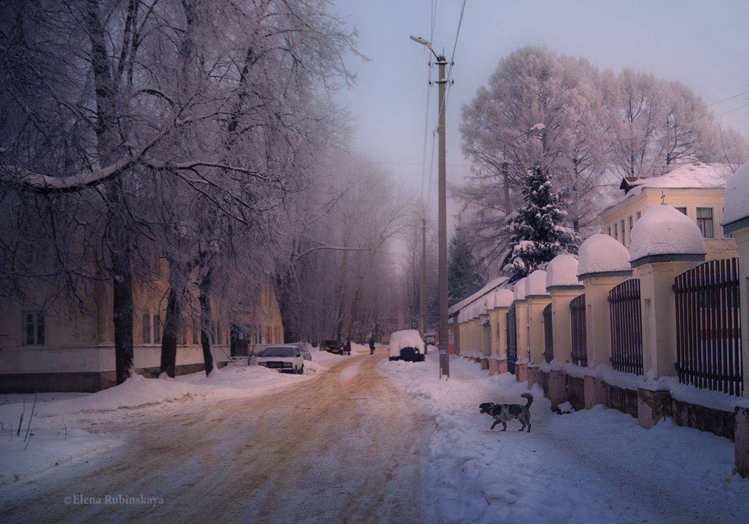 кострома, город, Елена Рубинская