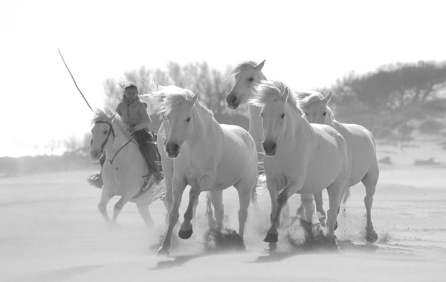 , Гудков Андрей