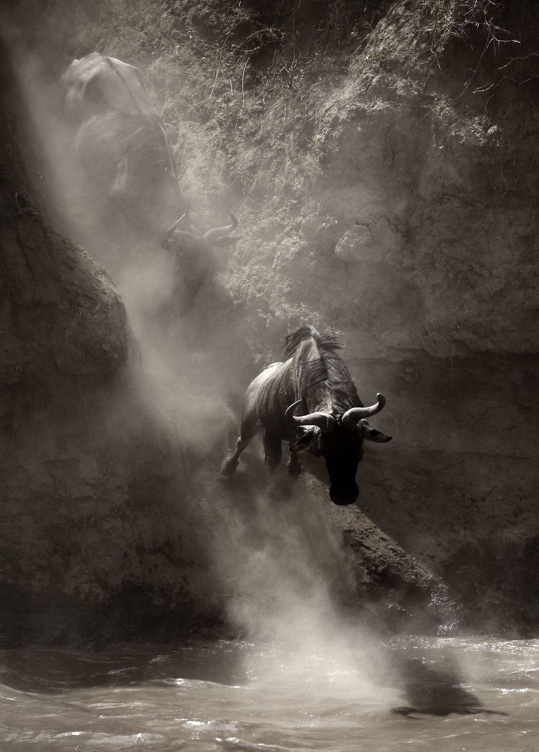 , Гудков Андрей