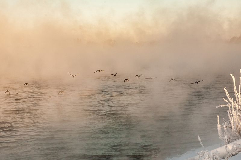 В рядочек фото превью