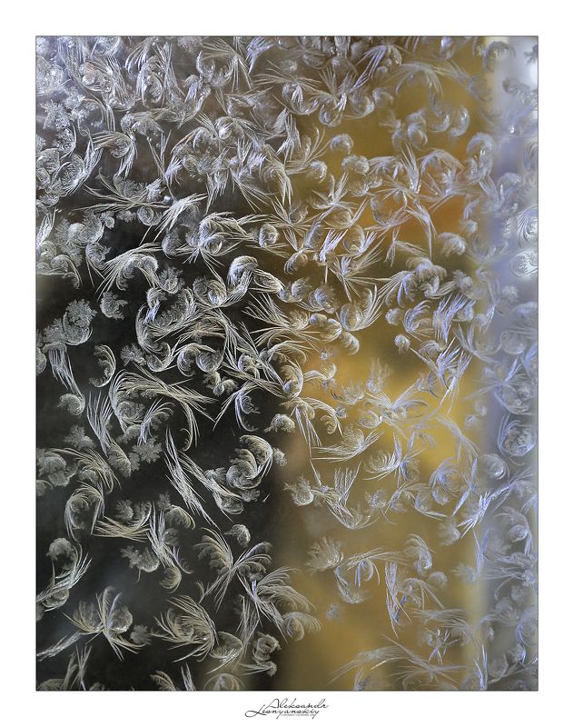 Изморозь 16 января фото превью