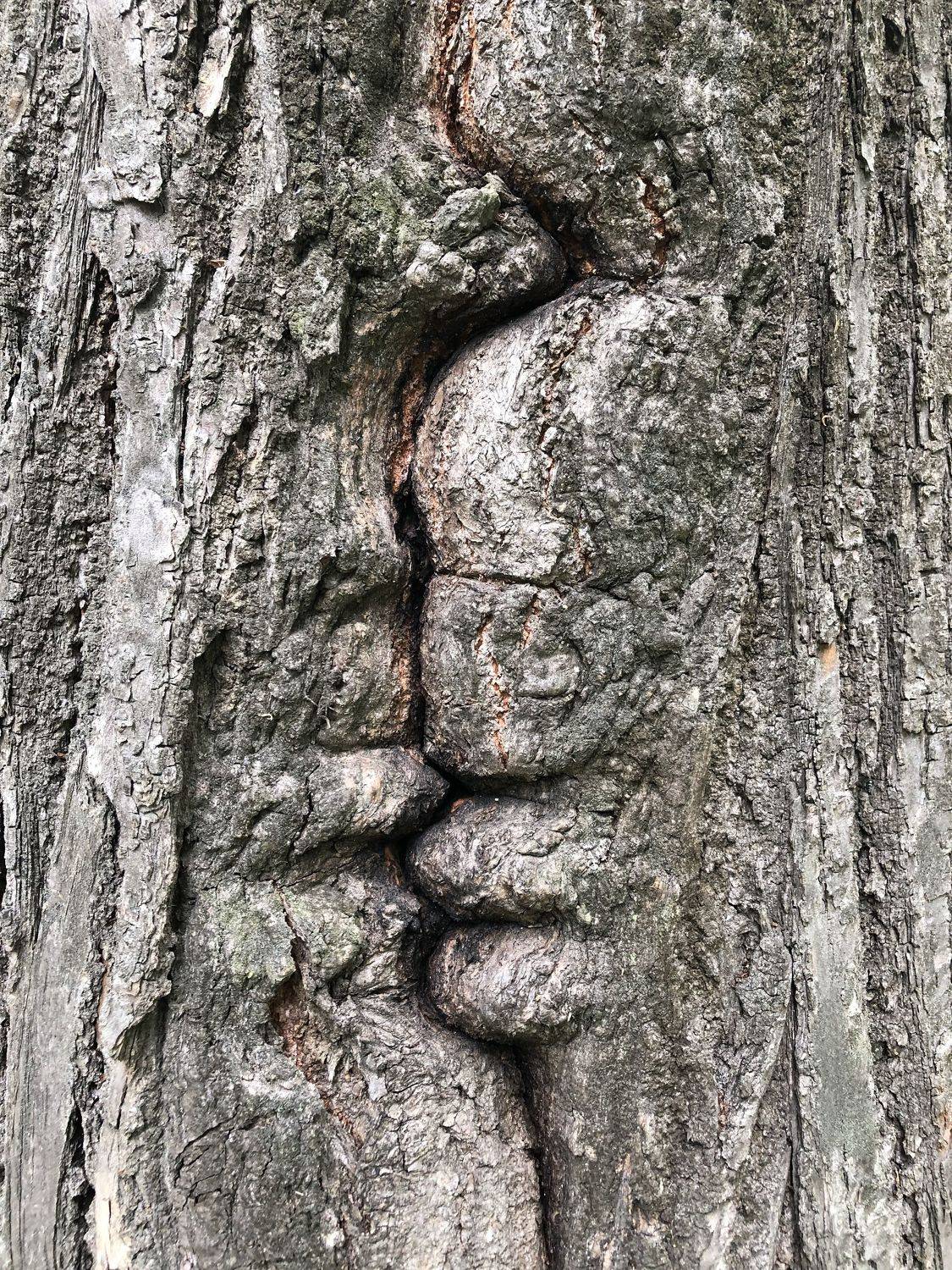 , Зоя Малхова