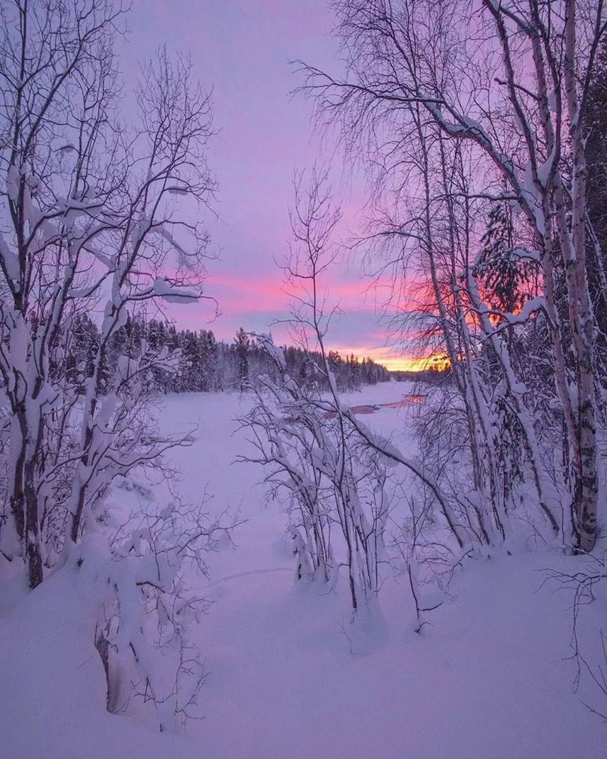 , Петр Косых