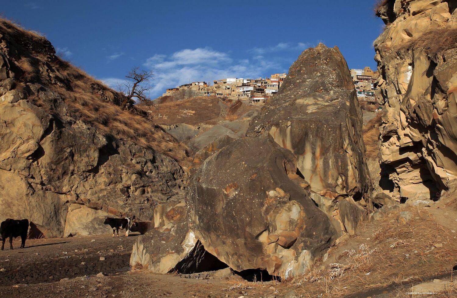 горы,чох,аул,пейзаж,дагестан,зима,марат магов,, Marat Magov