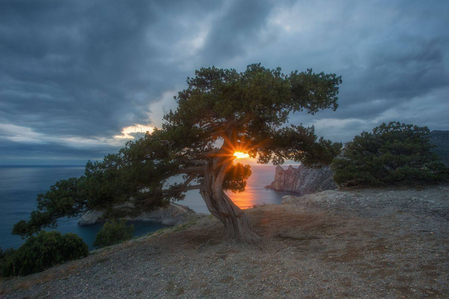 новый свет, крым, пейзаж, закат, горы, зима, вечер, судак, crimea, landscape, sunset, sea, Екатерина Дмитренко