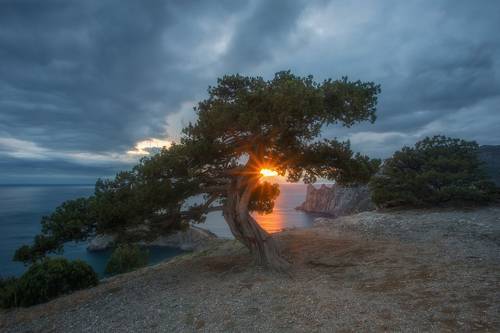 Новосветский закат