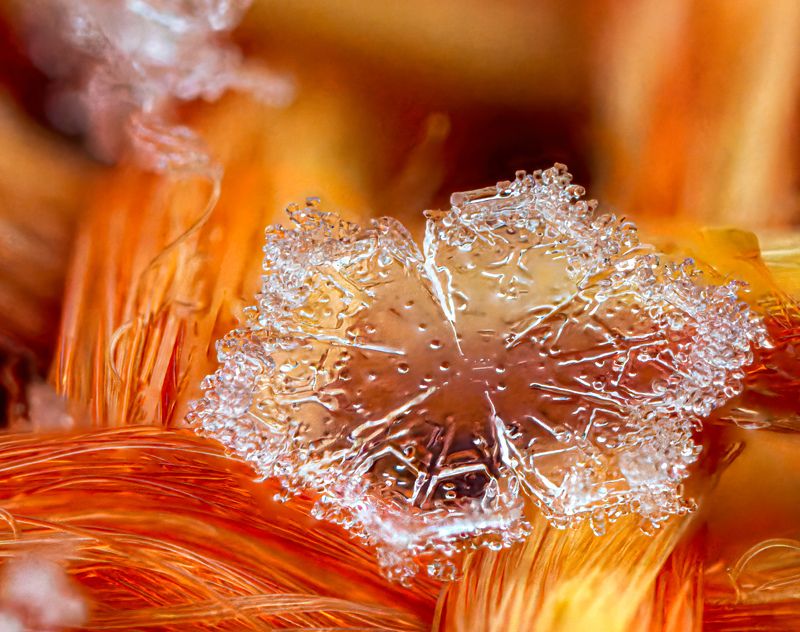 snow, snowflake, macro, micro Snowflake фото превью