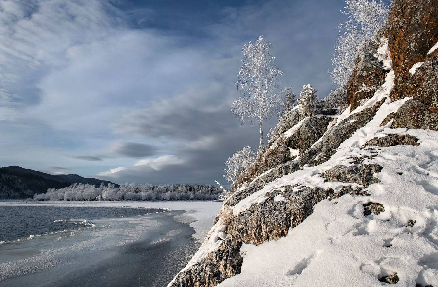 скала, камень, дерево, Марина Фомина
