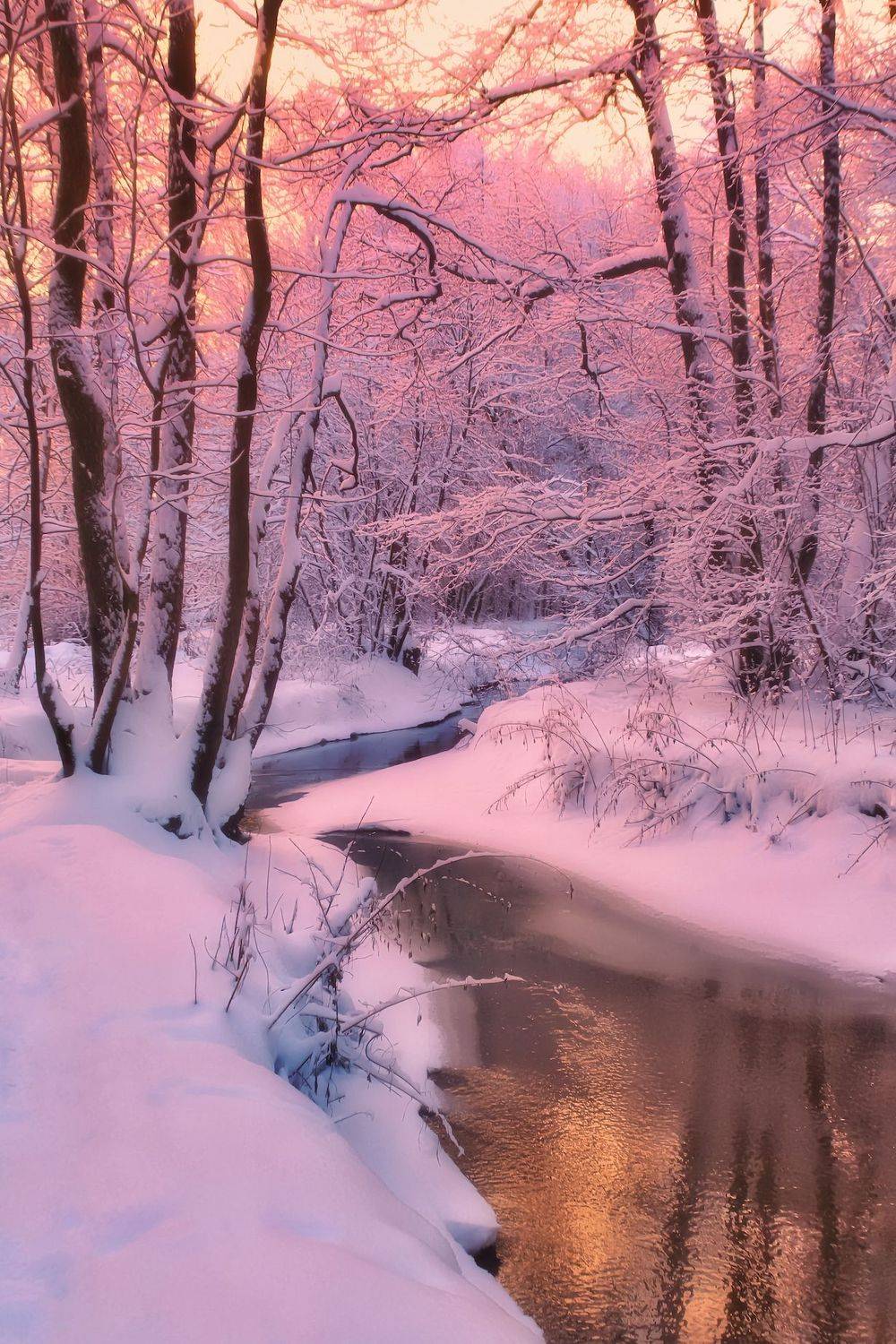 пейзаж, природа, nature, landscape, winter, зима, лес, forest, ручей, Julia Kaissa