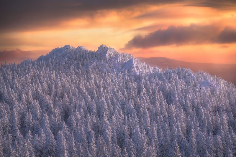 На высоте птиц фото превью