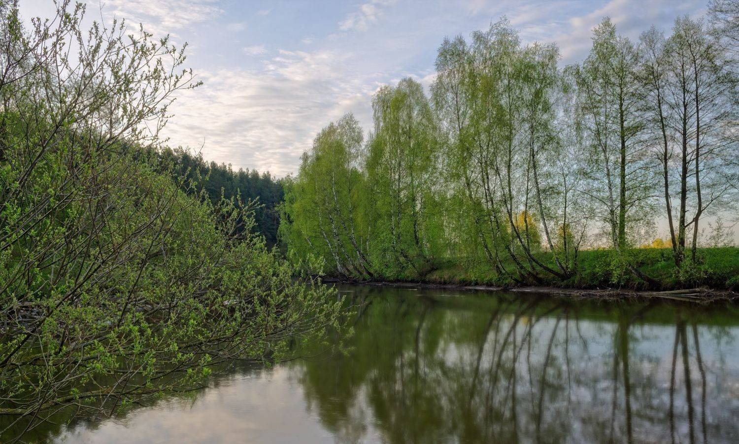 утро, весна, река,, Сергей Шабуневич