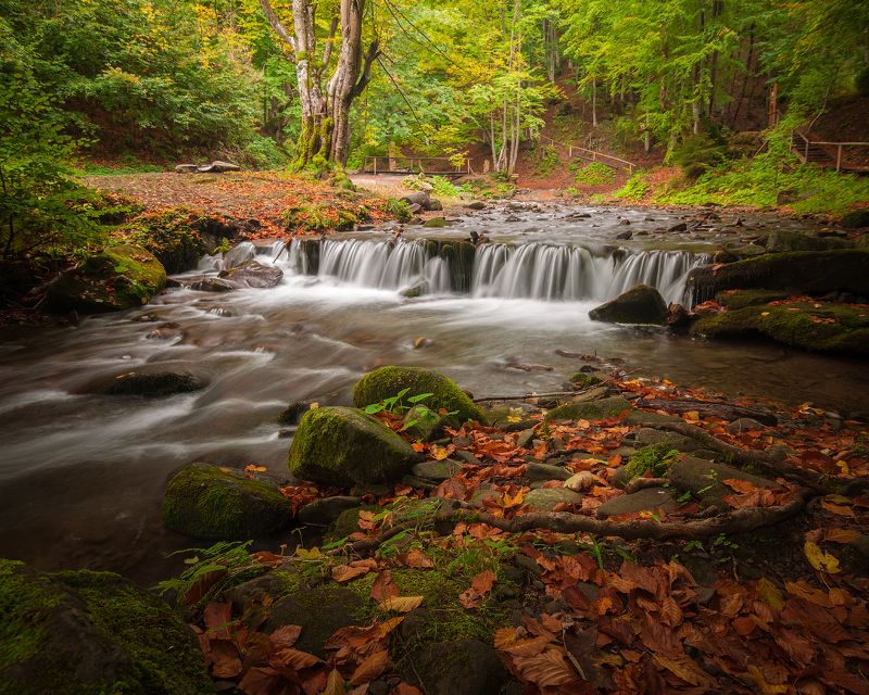 горы, карпаты, водопад, шипот, река, лес, украина Карпаты фото превью