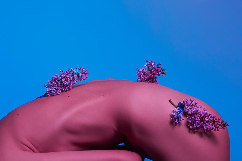 Маленькая веточка сирени фото превью