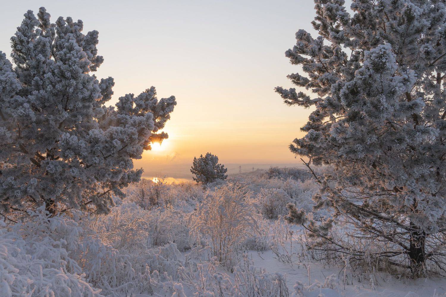 , Зорин Дмитрий