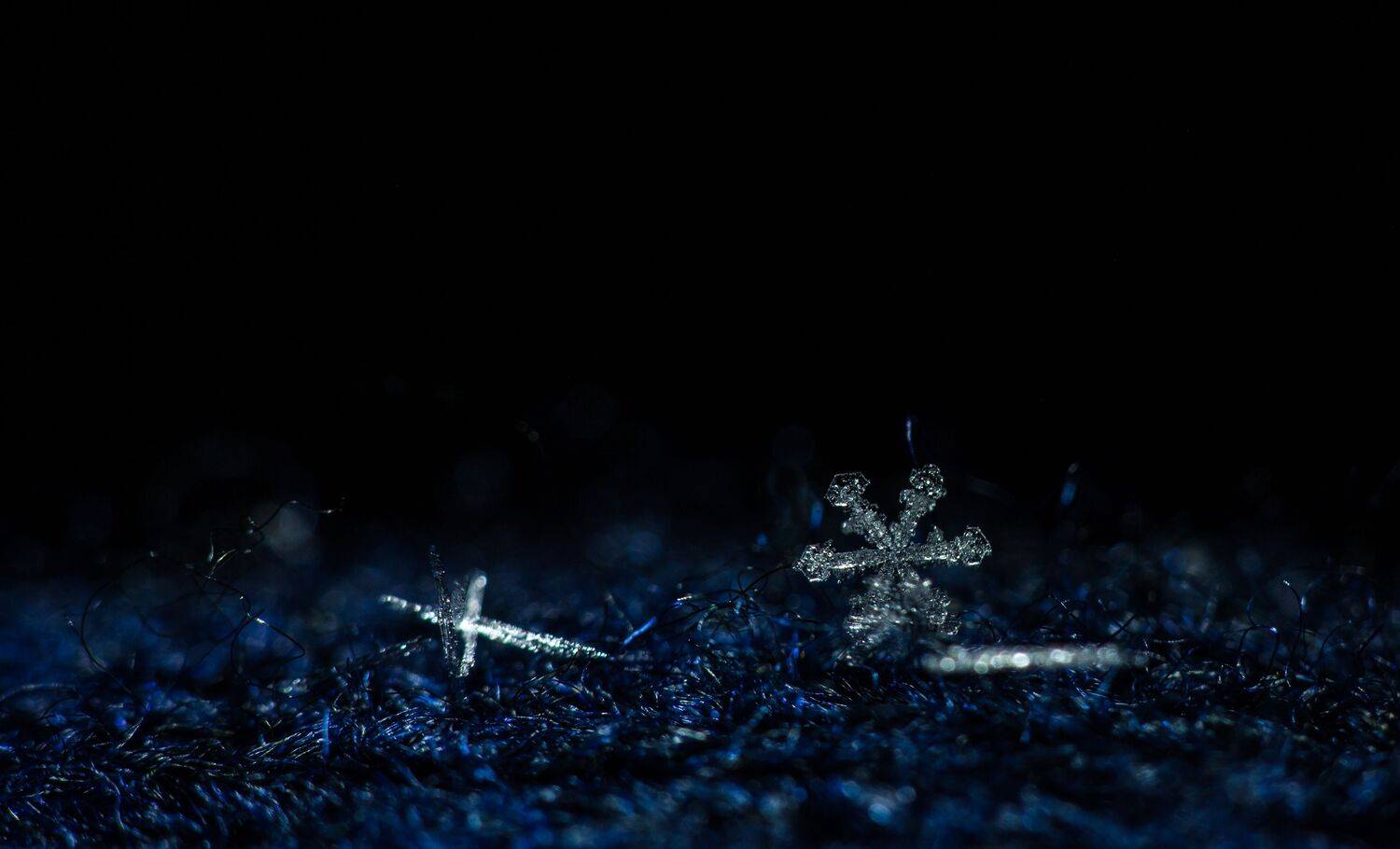 , Викулов Николай