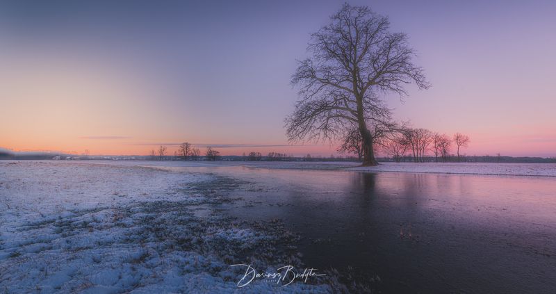 Winter dawn фото превью