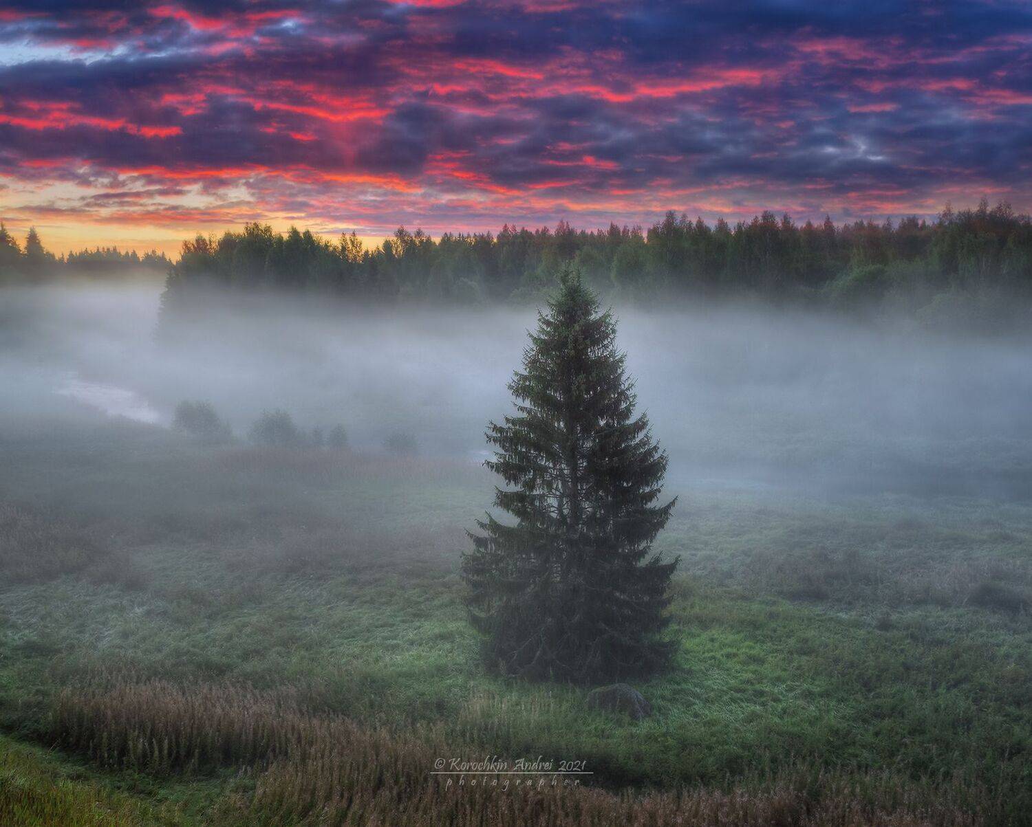 , Андрей Корочкин