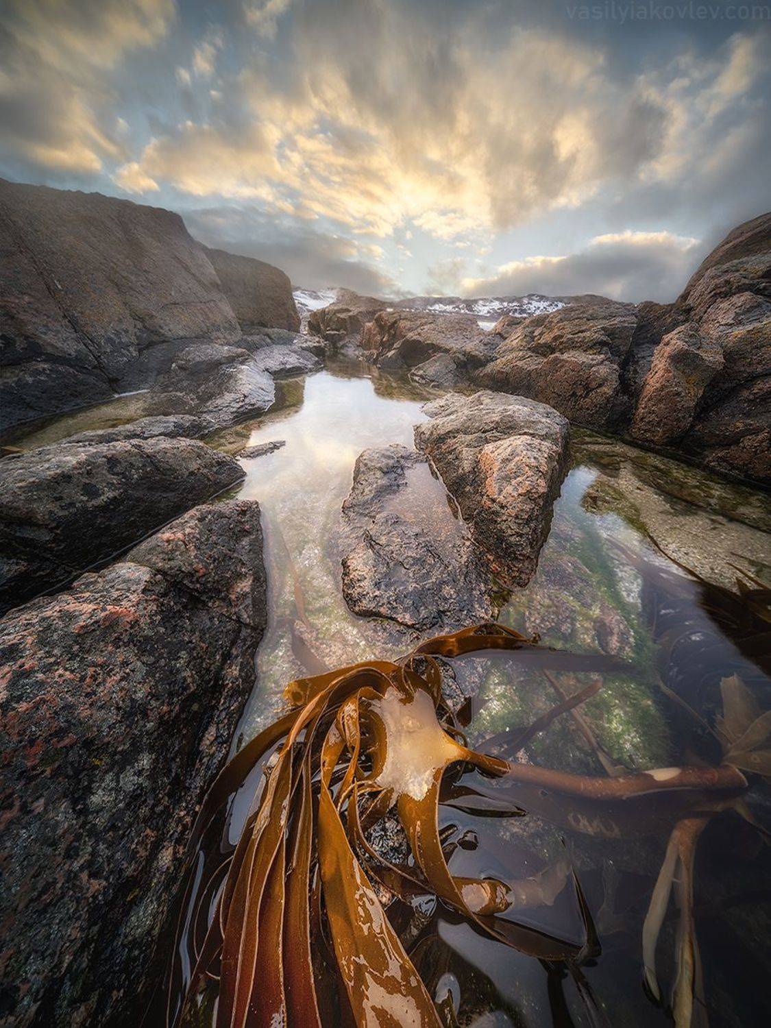 териберка, фототур, яковлевфототур, Василий Яковлев