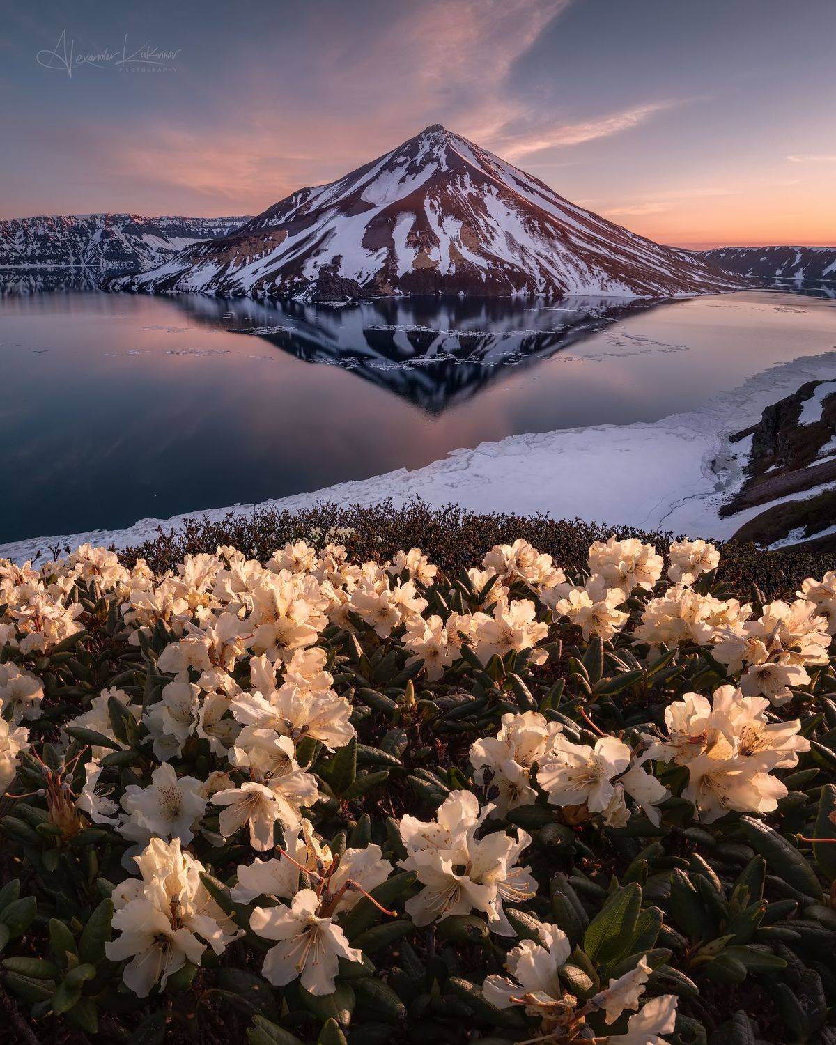 курилы,онекотан,закат,пейзаж,вулкан,вода,озеро,цветы,рододендроны, Александр Кукринов