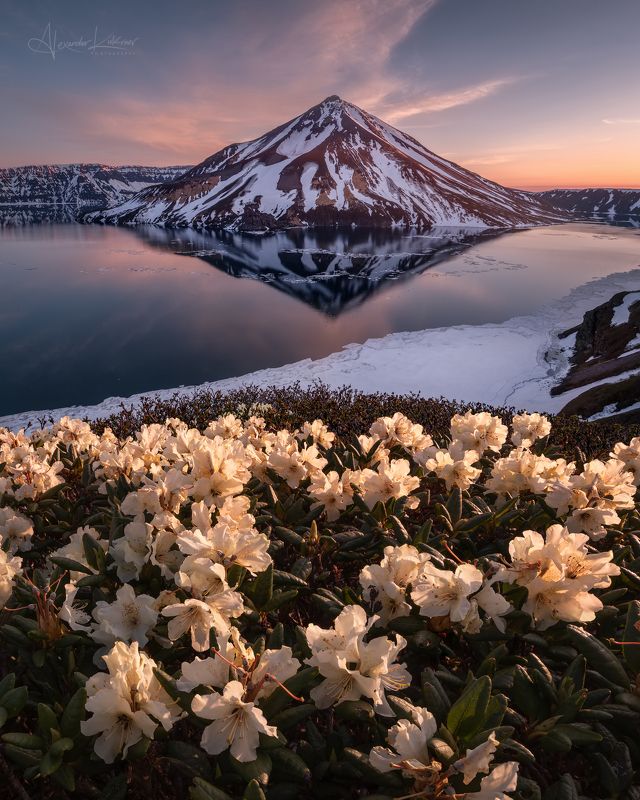 курилы,онекотан,закат,пейзаж,вулкан,вода,озеро,цветы,рододендроны Зима - Лето... фото превью